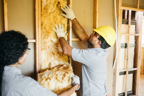 Best Insulation for New Construction  in South Shore, KY